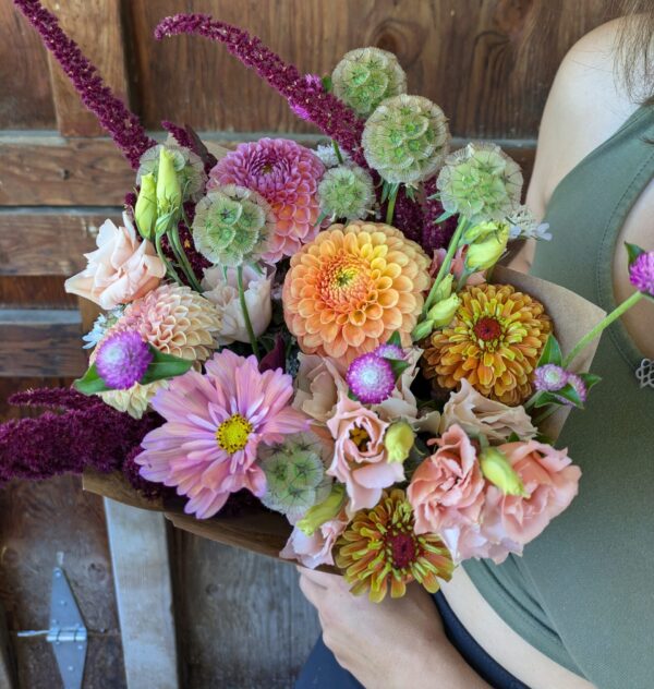 Farmer's Choice Summer Flower CSA - Image 5